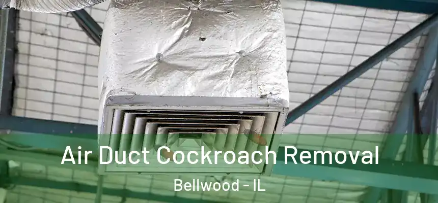  Air Duct Cockroach Removal Bellwood - IL