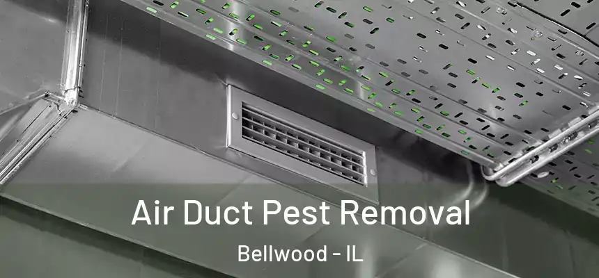 Air Duct Pest Removal Bellwood - IL