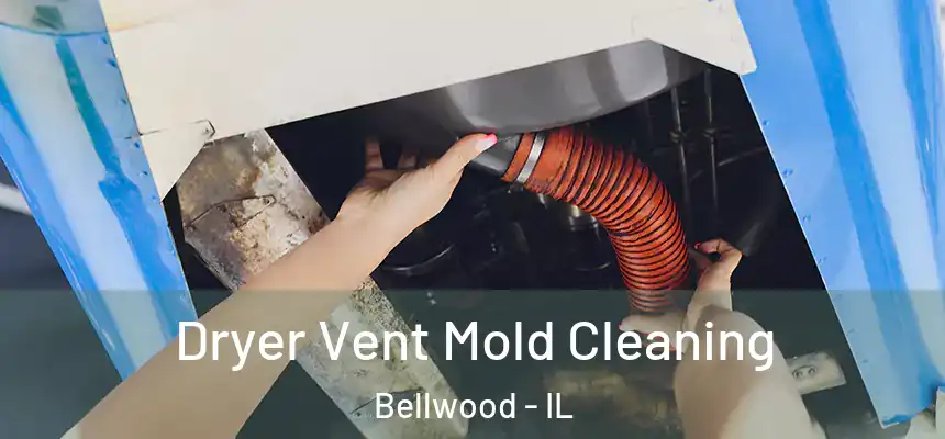  Dryer Vent Mold Cleaning Bellwood - IL