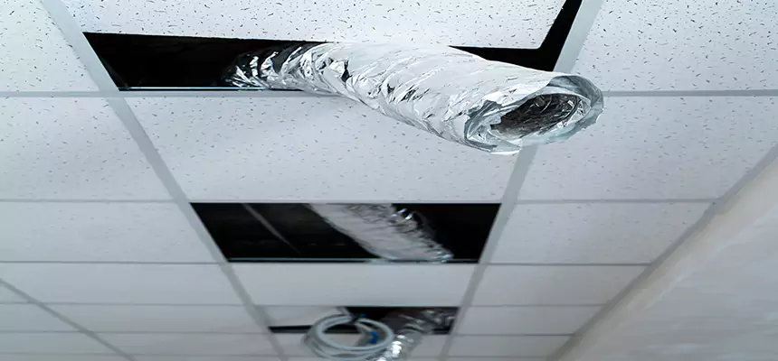 Affordable HVAC Sanitizing After Pest Removal in Bellwood