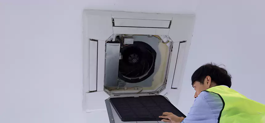 Our Dryer Vent Sanitization Service Services in Bellwood, IL