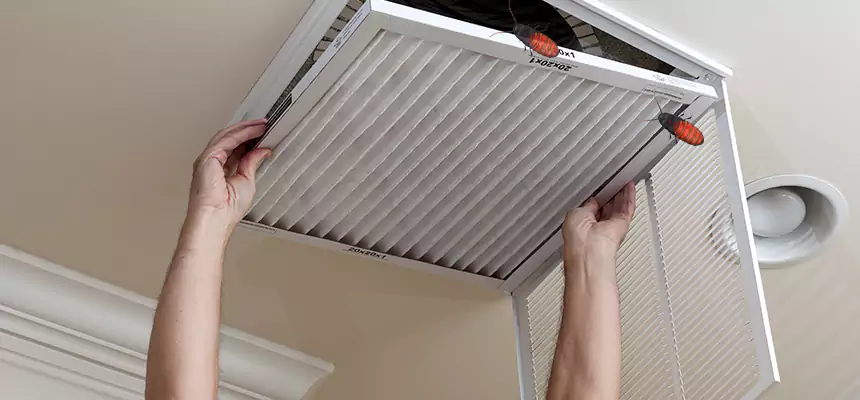 Our Insect Removal from Air Ducts Services in Bellwood, IL