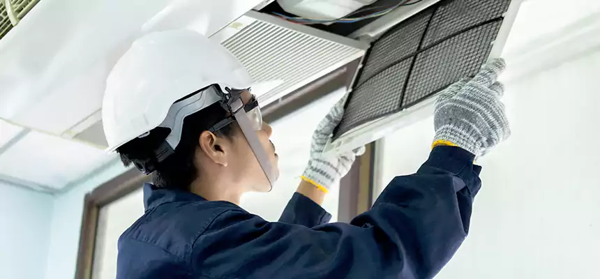 Our Mold & Mildew Removal from Air Ducts Services in Bellwood, IL