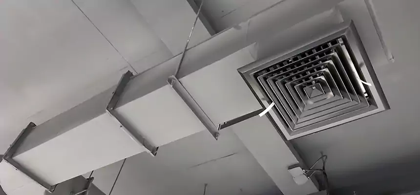 Our Pest Removal From Ducts Services in Bellwood, IL