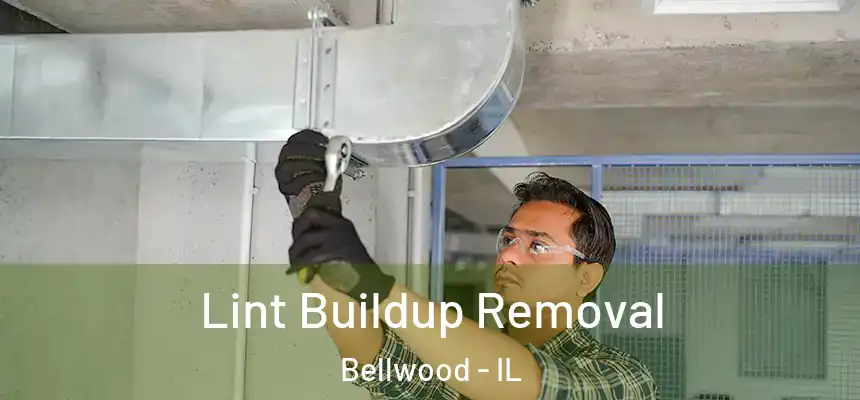  Lint Buildup Removal Bellwood - IL