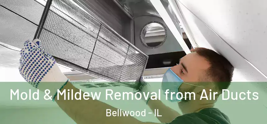  Mold & Mildew Removal from Air Ducts Bellwood - IL