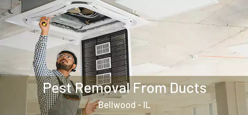  Pest Removal From Ducts Bellwood - IL