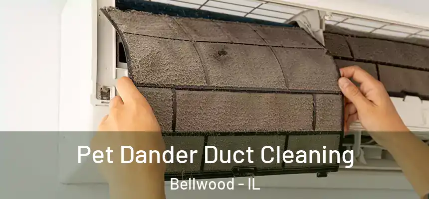  Pet Dander Duct Cleaning Bellwood - IL