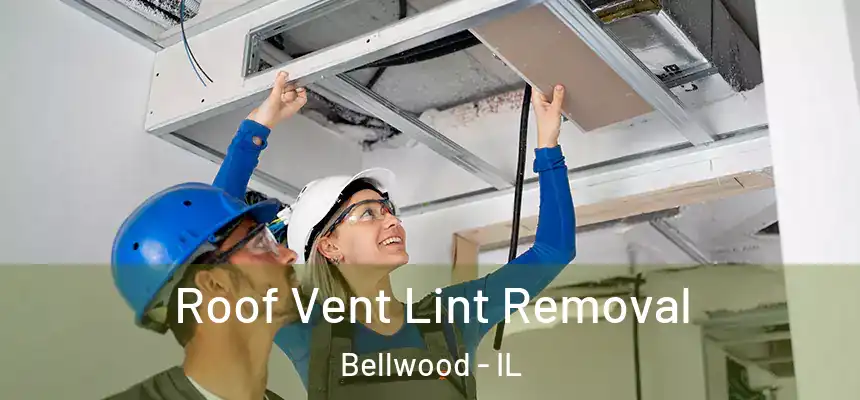  Roof Vent Lint Removal Bellwood - IL