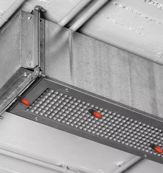 About Air Duct Cockroach Removal in Bellwood, IL