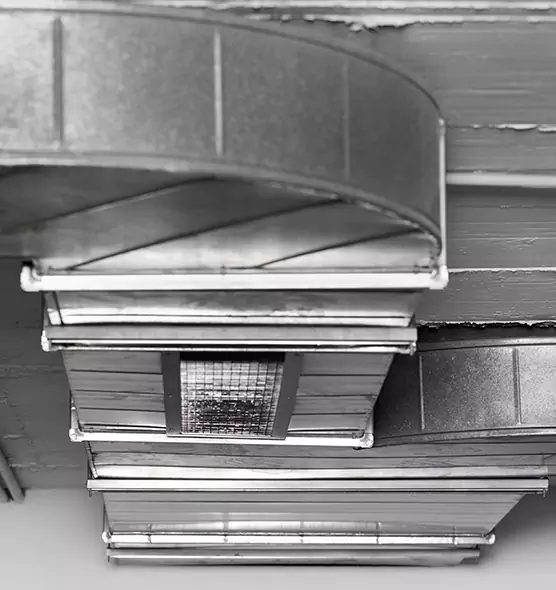 Professional Air Duct Pest Removal in Bellwood, IL