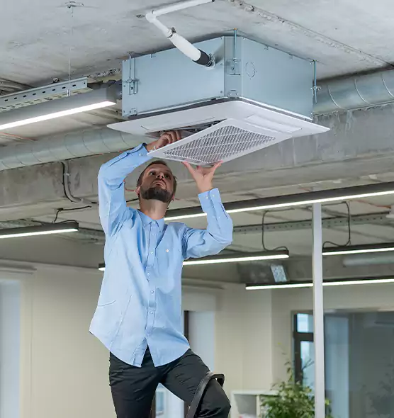 Advanced Rodent Droppings In Vents in Bellwood, IL
