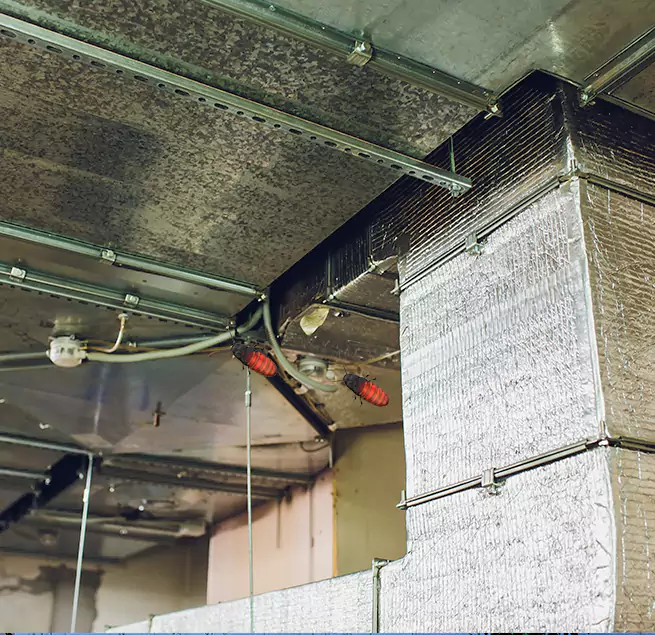 Why Homeowners & Businesses Trust Us in Bellwood, IL?