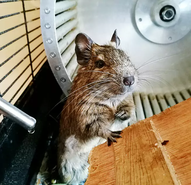 Why Homeowners & Businesses Trust Us Bellwood, IL