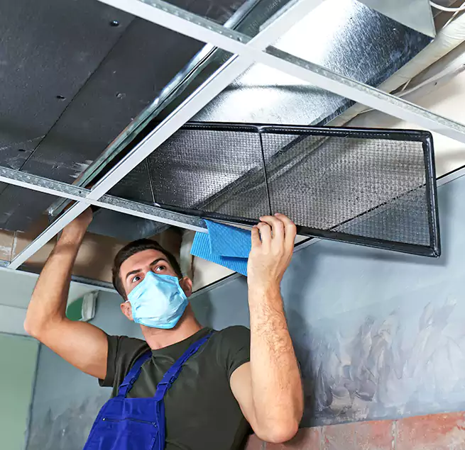 Why Homeowners Businesses Trust Us in Bellwood, IL