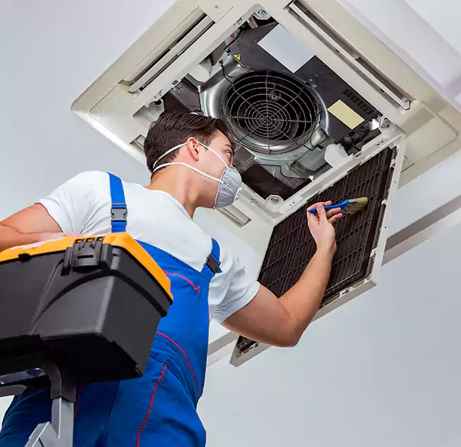 Why Homeowners & Businesses Trust Us in Bellwood, IL