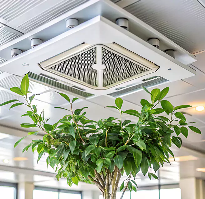 Why Homeowners & Businesses Trust Us in Bellwood, IL