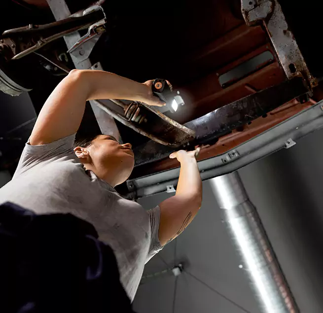 Why Homeowners & Businesses Trust Us Bellwood, IL